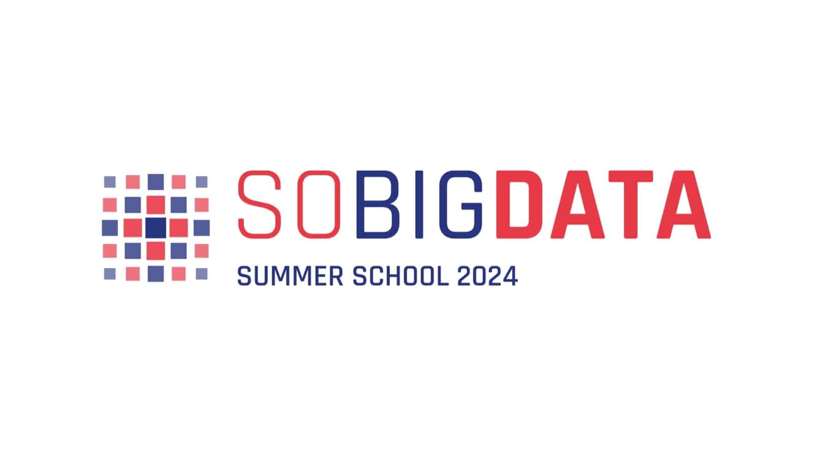 SoBigData Summer School 2024