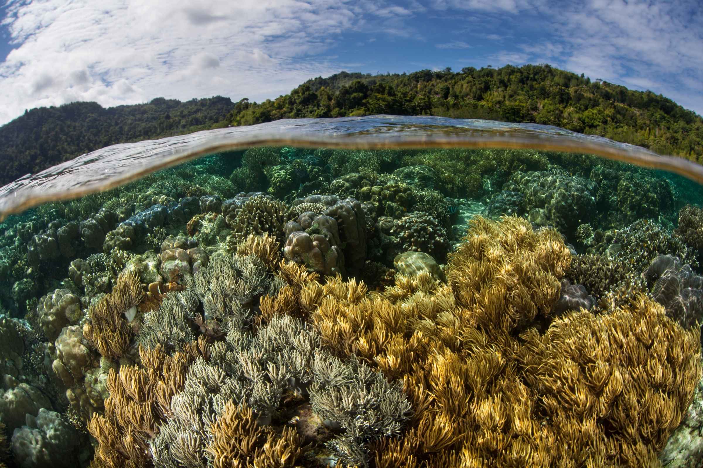 EGI biodiversity UN SDGs