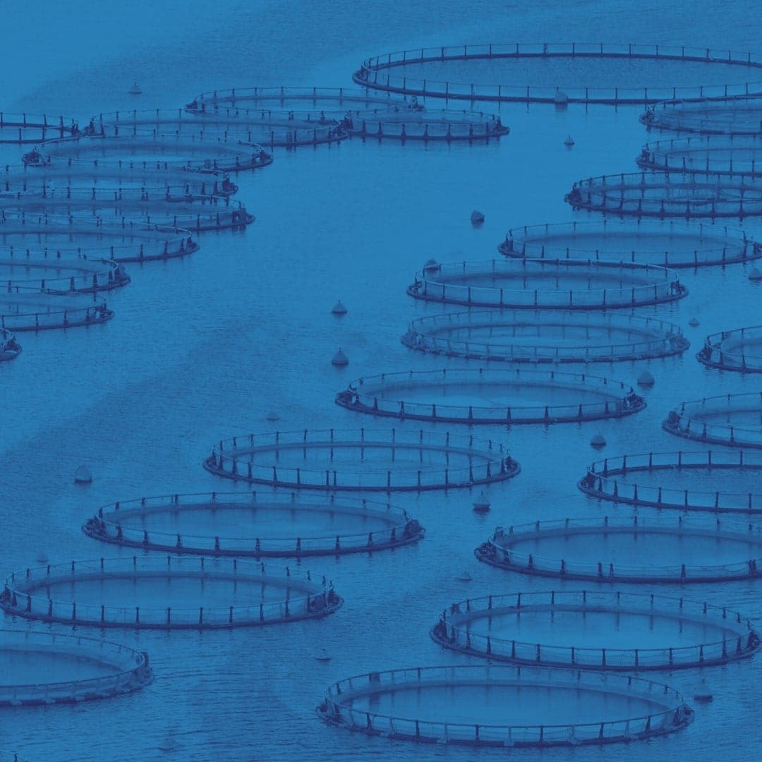 Marine Institute aquaculture